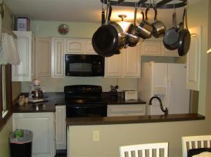 3788 E Shore Dr, Stanton, MI 48888 photo 3