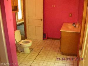 534 Merrick, Belding, MI 48809 photo 9