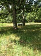 919 S Centerline, White Cloud, MI 49349 photo 3