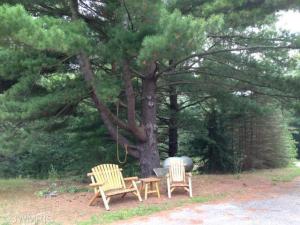 8126 E 1 Mile Rd, White Cloud, MI 49349 photo 17