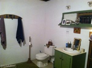 8126 E 1 Mile Rd, White Cloud, MI 49349 photo 11