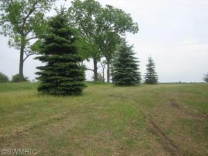3000 N Stephens Rd, Custer, MI 49405 photo 15