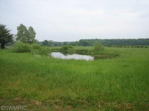 3000 N Stephens Rd, Custer, MI 49405 photo 6