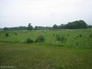 3000 N Stephens Rd, Custer, MI 49405 photo 16