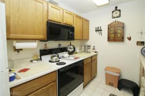 368 Boyer Ct, Marshall, MI 49068 photo 8