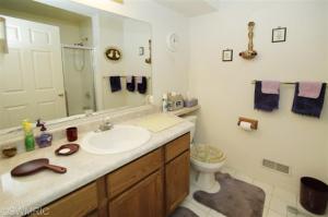 368 Boyer Ct, Marshall, MI 49068 photo 12