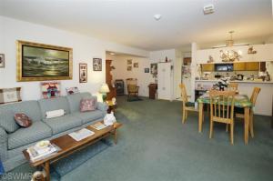 368 Boyer Ct, Marshall, MI 49068 photo 4