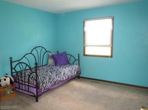 6339 E Rs Ave, Scotts, MI 49088 photo 8