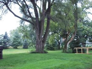 146 N Stringtown Rd, Quincy, MI 49082 photo 14