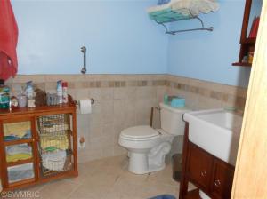 3611 Belding Rd, Belding, MI 48809 photo 19