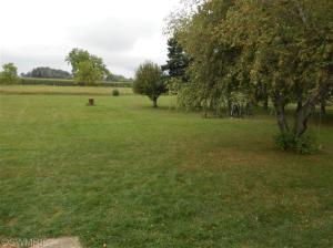 3611 Belding Rd, Belding, MI 48809 photo 4