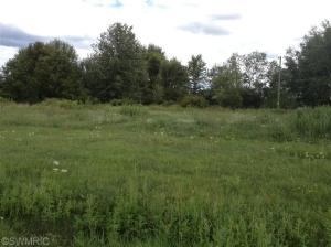 1005 N Custer Rd, Custer, MI 49405 photo 20