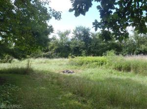9630 Coman Rd, Hudson, MI 49247 photo 7