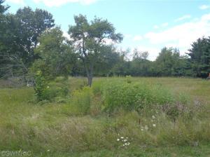 9630 Coman Rd, Hudson, MI 49247 photo 9