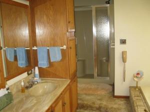 552 Belding St, Crystal, MI 48818 photo 9