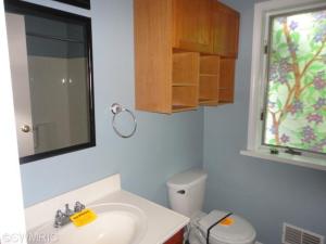 3981 E Bricker Rd, Fenwick, MI 48834 photo 18
