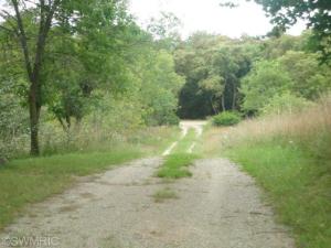 3981 E Bricker Rd, Fenwick, MI 48834 photo 3