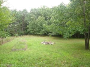 3981 E Bricker Rd, Fenwick, MI 48834 photo 5