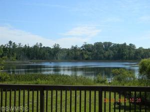 485 S Wicker Rd, Stanton, MI 48888 photo 10