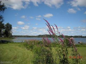 641 Brace Lake Rd, Marshall, MI 49068 photo 10