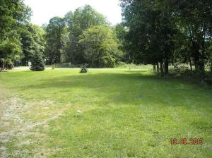 641 Brace Lake Rd, Marshall, MI 49068 photo 22