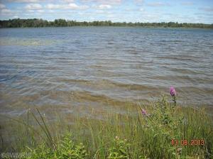 641 Brace Lake Rd, Marshall, MI 49068 photo 14