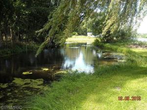 641 Brace Lake Rd, Marshall, MI 49068 photo 18