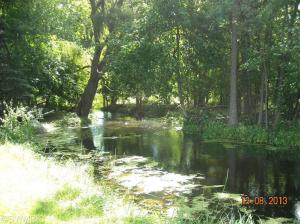641 Brace Lake Rd, Marshall, MI 49068 photo 23