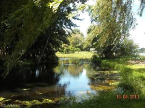 641 Brace Lake Rd, Marshall, MI 49068 photo 6