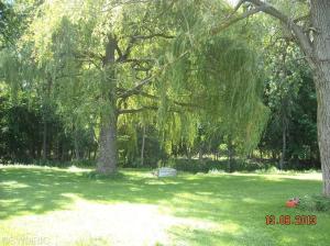 641 Brace Lake Rd, Marshall, MI 49068 photo 15