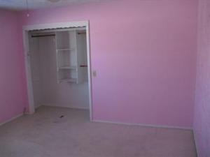 2511 132nd St, Grant, MI 49327 photo 6