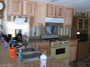 150 E 20th, Baldwin, MI 49304 photo 5
