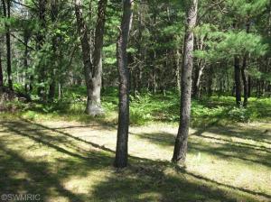 150 E 20th, Baldwin, MI 49304 photo 6