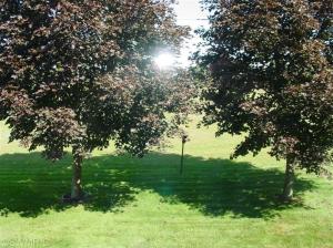 6375 E Rs Ave, Scotts, MI 49088 photo 13