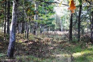 5640 E Barothy, Custer, MI 49405 photo 22