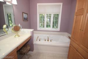 3329 Bloomington Hills Dr SE, Ada, MI 49301 photo 11