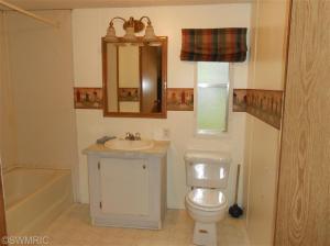5710 E Riverside Dr, Lyons, MI 48851 photo 8
