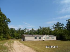 3421 E 12th St, White Cloud, MI 49349 photo 1