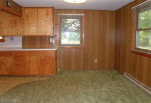 877 W Fleck Rd, Edmore, MI 48829 photo 6