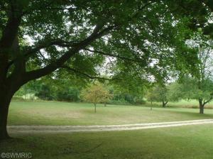877 W Fleck Rd, Edmore, MI 48829 photo 24