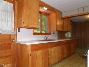 877 W Fleck Rd, Edmore, MI 48829 photo 3
