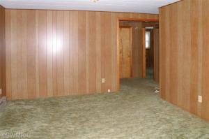 877 W Fleck Rd, Edmore, MI 48829 photo 8
