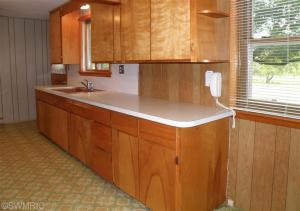 877 W Fleck Rd, Edmore, MI 48829 photo 4