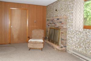 877 W Fleck Rd, Edmore, MI 48829 photo 19