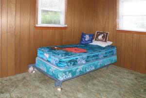 877 W Fleck Rd, Edmore, MI 48829 photo 9