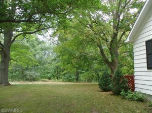877 W Fleck Rd, Edmore, MI 48829 photo 23