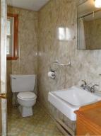877 W Fleck Rd, Edmore, MI 48829 photo 13