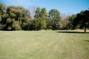 281 E Riverside Dr, Ionia, MI 48846 photo 3