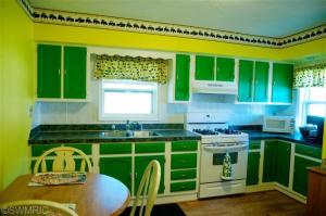 281 E Riverside Dr, Ionia, MI 48846 photo 14