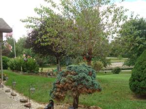 1211 E Harmon Rd, Camden, MI 49232 photo 18